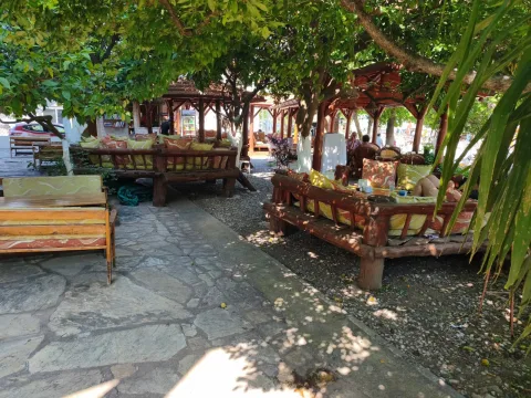 Ağaçların altında
