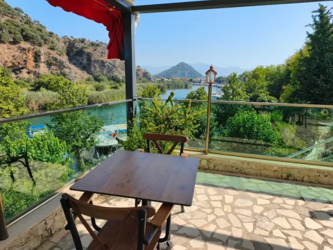 Grüner Flussblick von der Terrasse