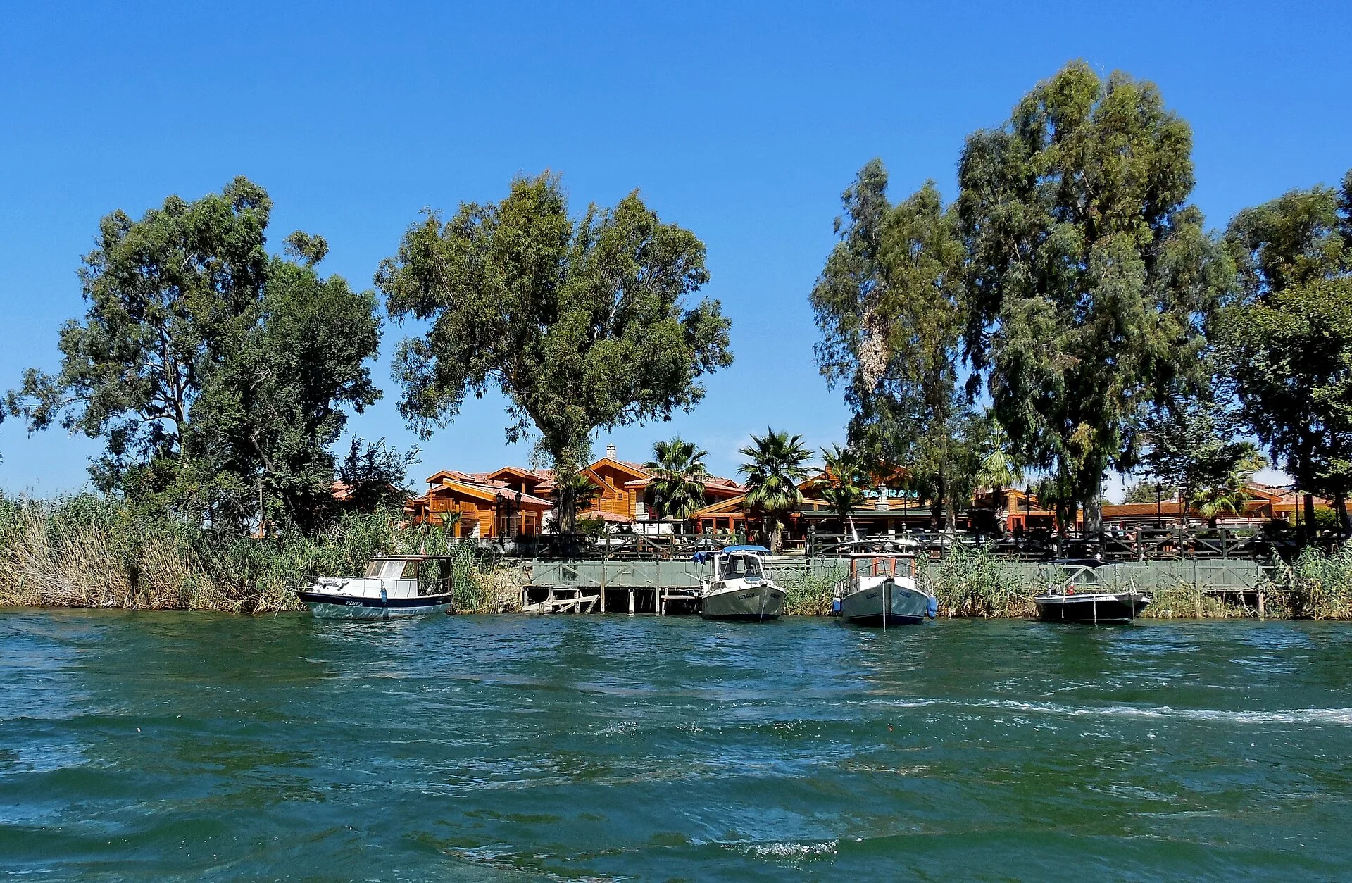 Dalyan River Boat Trips
